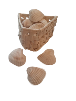 Muschelset "Meeresrauschen"